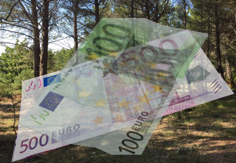 Combien vaut l’hectare de forêt Combien vaut l’hectare de forêt