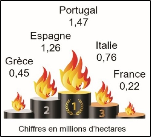 Top 5 des pays dEurope (2006-2022)