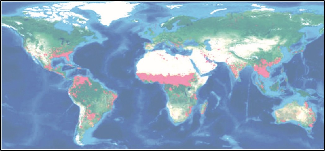 Carte des feux dans le Monde (journée du 8 au 9 janvier 2020) 