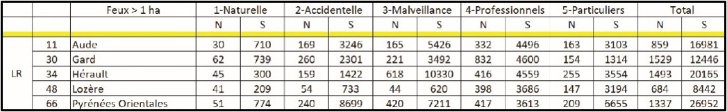 Languedoc-Roussillon : Causes des feux de plus de 1 hectare