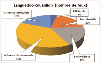 Languedoc-Roussillon : % du nombre des feux de plus de 1 hectare par cause