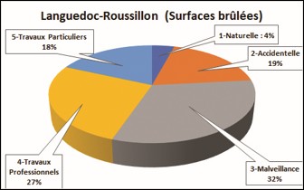 Languedoc-Roussillon : % des surfaces brûlées par cause (feux de plus de 1 hectare)
