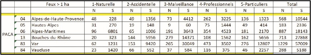 Région PACA : Causes des départs de feux (nombre et surface brûlée)