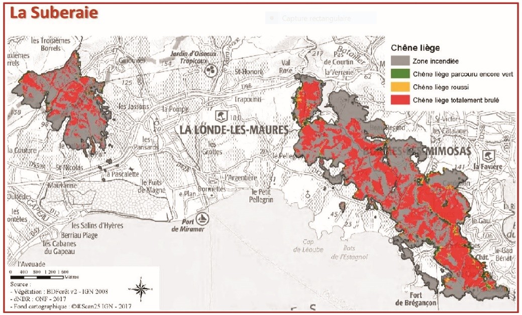 Les deux feux de l'été 2017 à La Londe-les-Maures