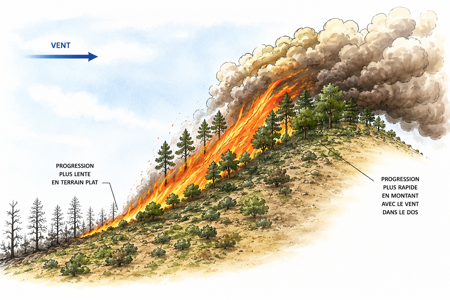 Le feu progresse plus vite en montant une pente