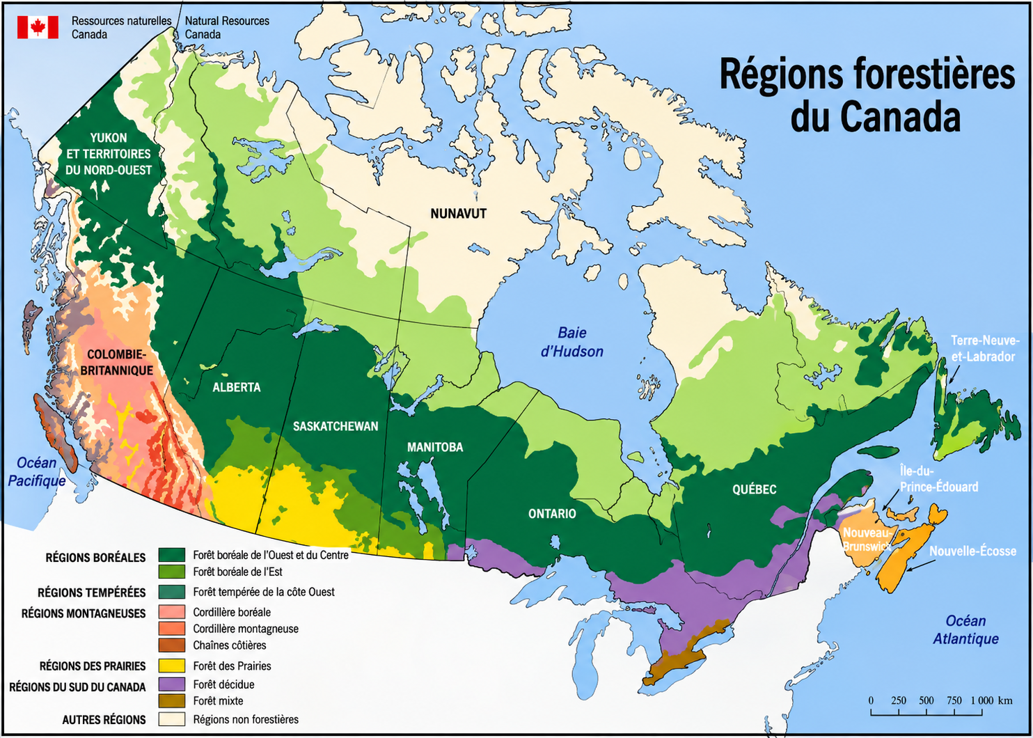 Régions forestières du Canada