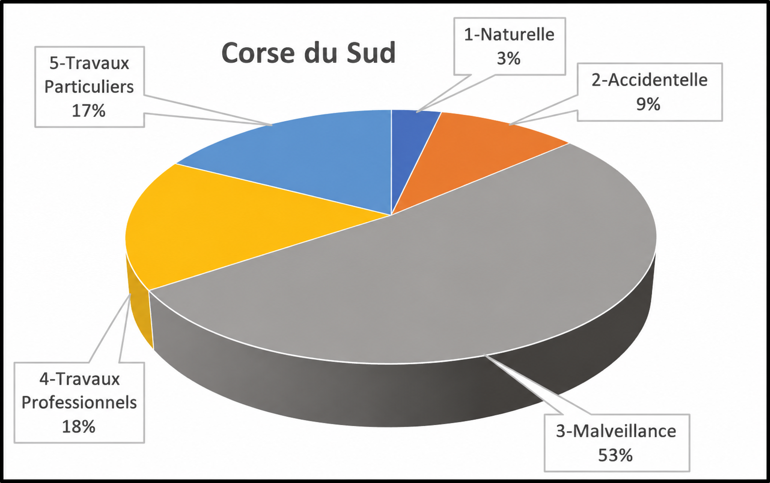 Corse-du-Sud : % des causes des départs de feux
