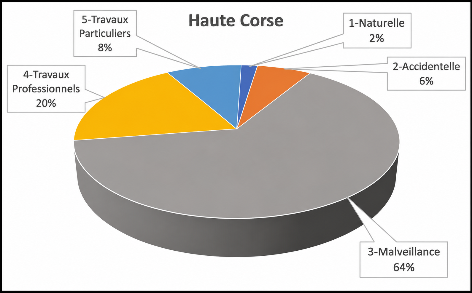 Haute-Corse : % des causes des départs de feux