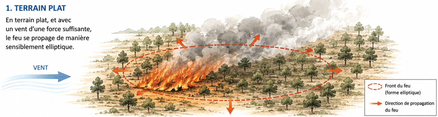 Le vent pousse le feu