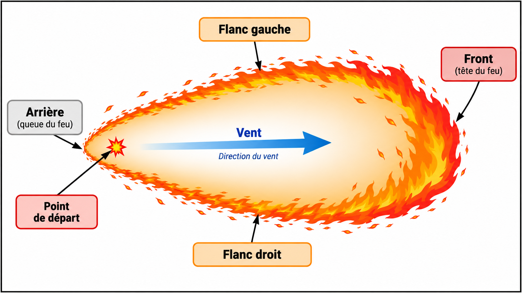 La tête du feu est poussée arrière, les flancs suivent