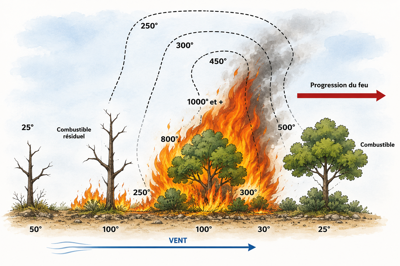 Évolution de la température (25 à plus de 1 000 °C) selon la distance du foyer