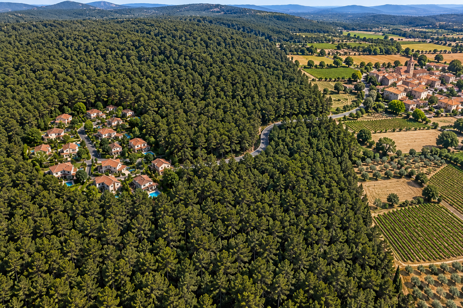 Vivre en forêt : plaisir x risque = ∞